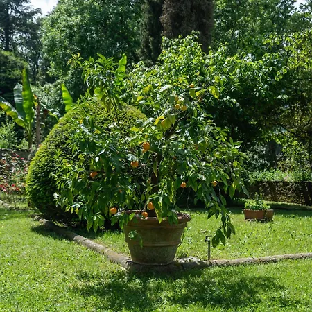 Case Bernardini - Historic Tuscan Homes With Pool Πανσιόν Coreglia Antelminelli
