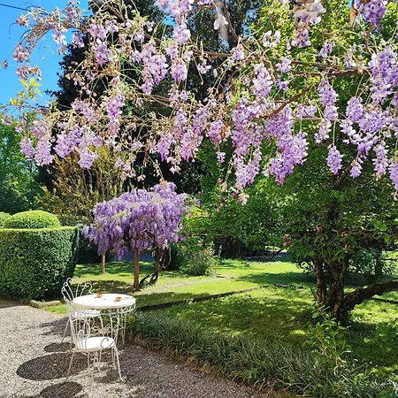 Case Bernardini - Historic Tuscan Homes With Pool ゲストハウス 3*