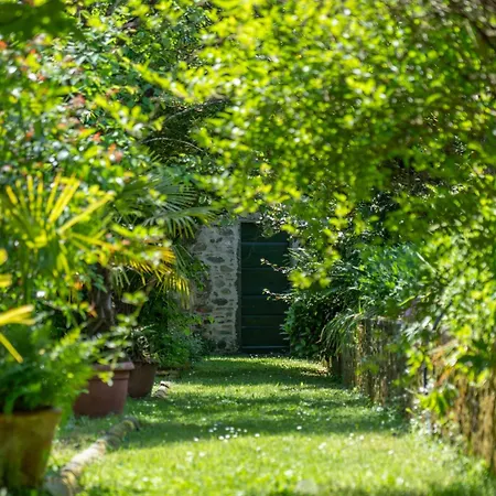 Case Bernardini - Historic Tuscan Homes With Pool ゲストハウス Coreglia Antelminelli
