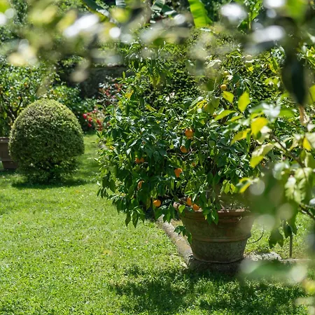 Case Bernardini - Historic Tuscan Homes With Pool ゲストハウス