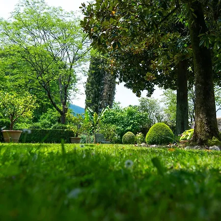 ゲストハウス Case Bernardini - Historic Tuscan Homes With Pool Coreglia Antelminelli