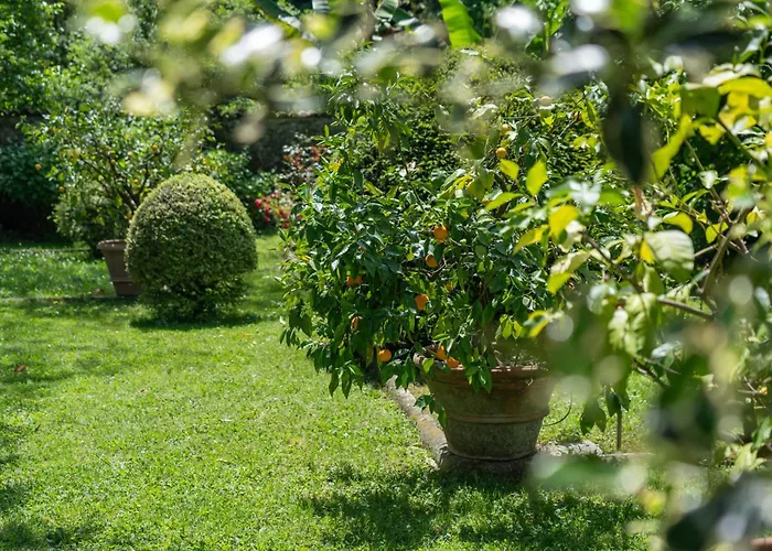 Bernardini - Historic Tuscan Homes With Pool Konukevi