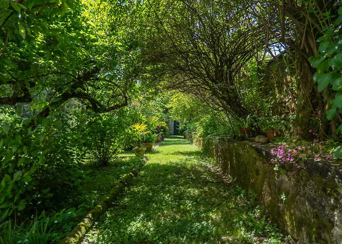 Bernardini - Historic Tuscan Homes With Pool Konukevi 3*